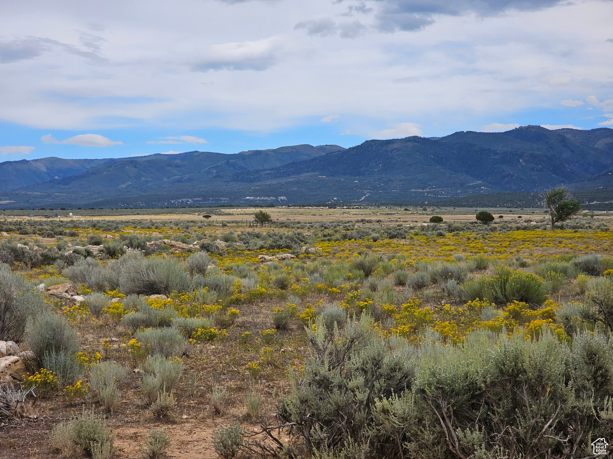 1000 E 1300, Spring City, Utah image 3