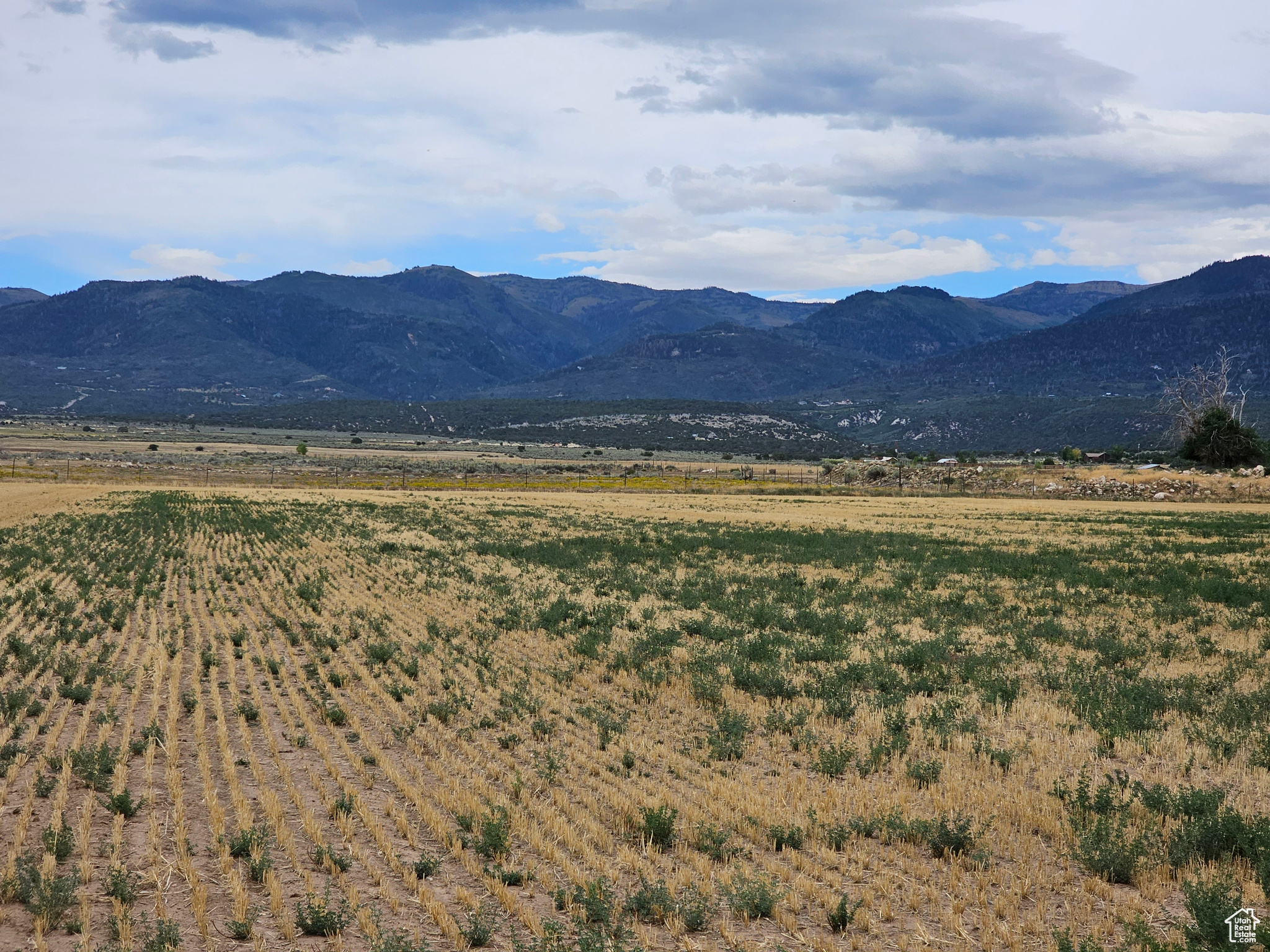 1000 E 1300, Spring City, Utah image 5
