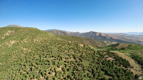 Tiny photo for Cedar Fort, UT 84013 (MLS # 2098759)