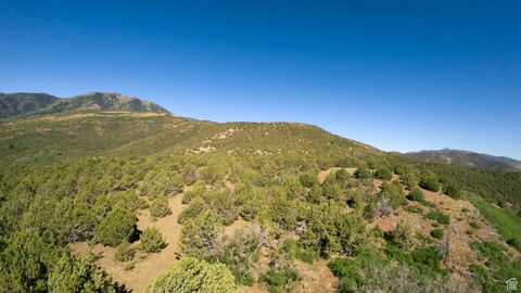 Tiny photo for Cedar Fort, UT 84013 (MLS # 2098759)