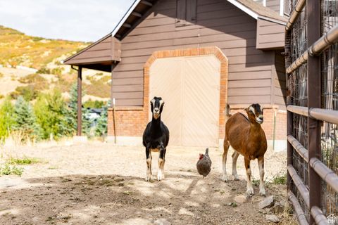 Tiny photo for 1801 N FORT CANYON RD, Alpine, UT 84004 (MLS # 2115034)