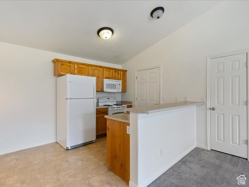 CAMELOT VILLAGE - Residential