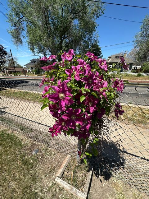 Tiny photo for 367 HAWTHORNE DR, Layton, UT 84041 (MLS # 2157420)