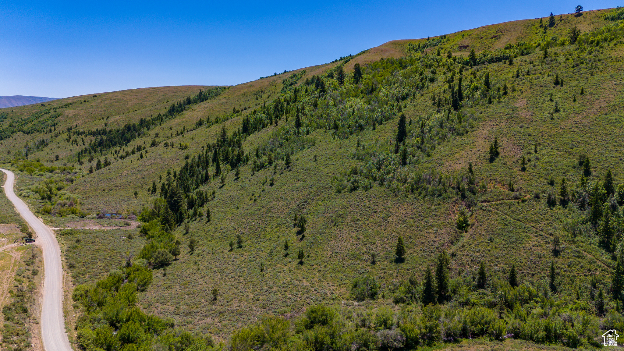 BLOOMINGTON HOLLOW RANCHS - Land