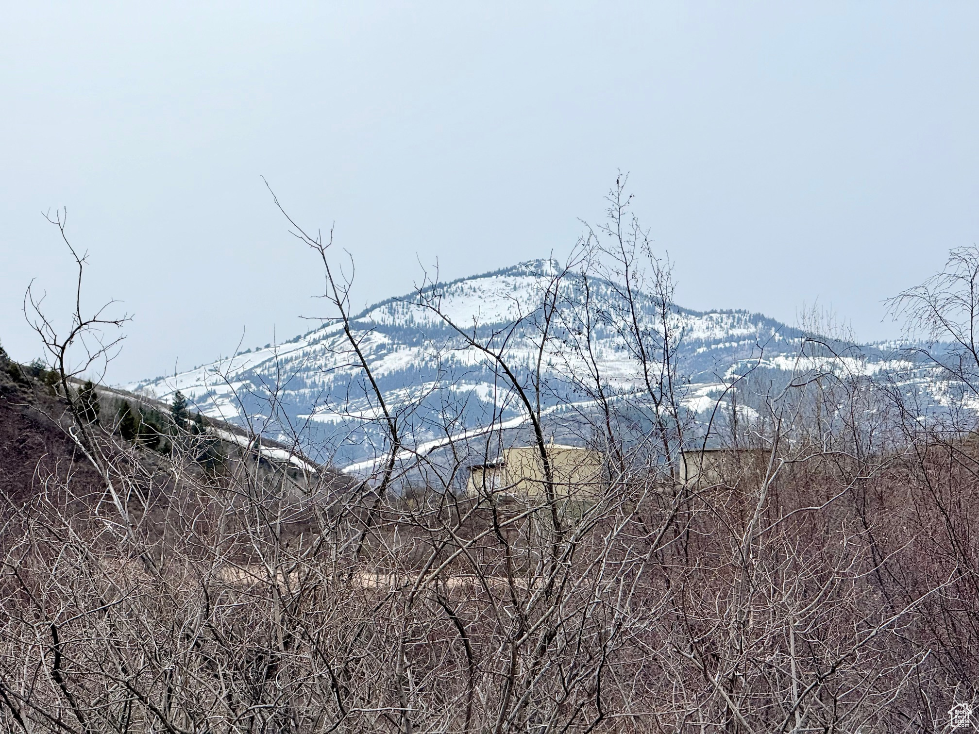 BLOOMINGTON HOLLOW RANCHS - Land