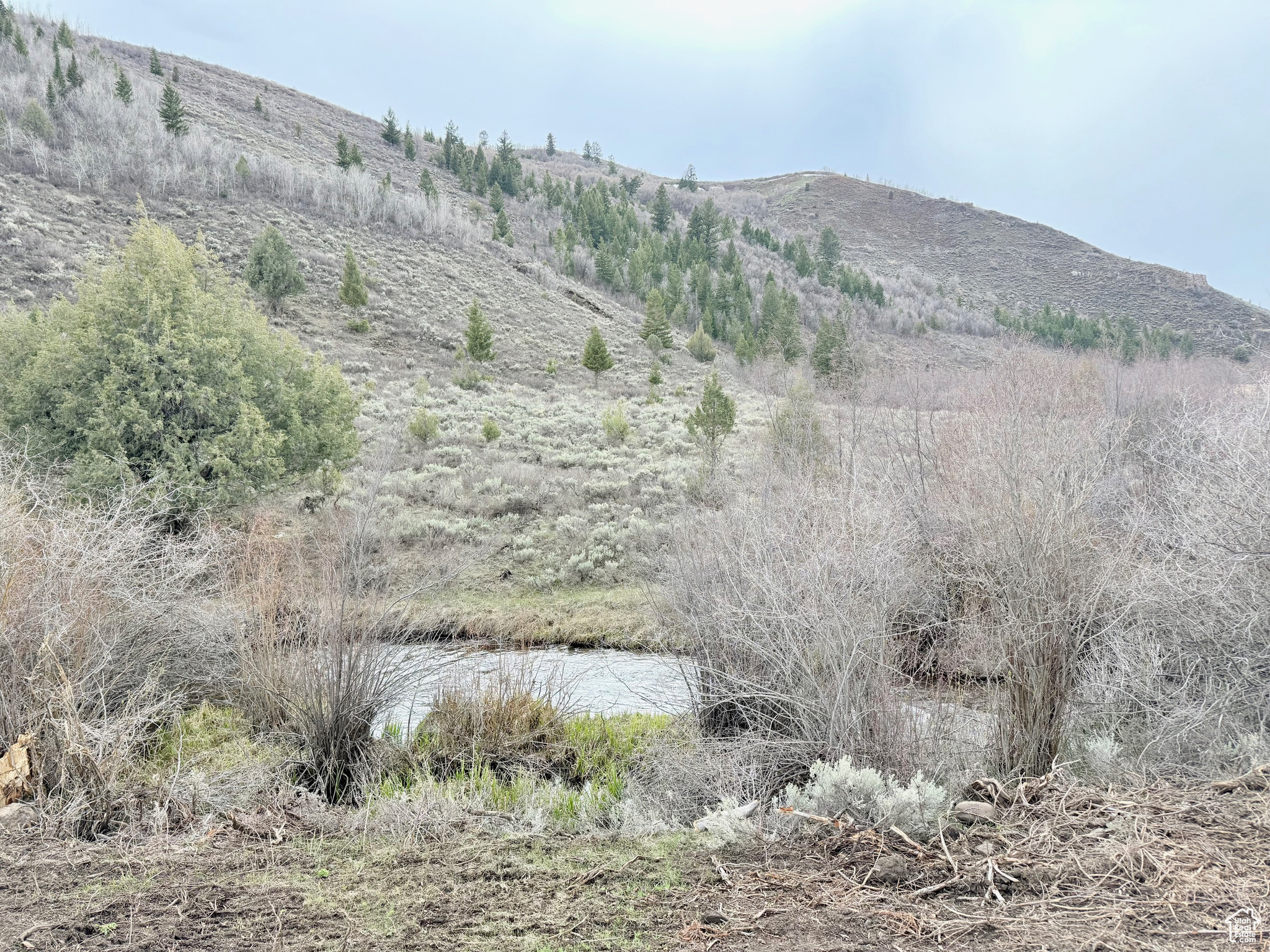 BLOOMINGTON HOLLOW RANCHS - Land