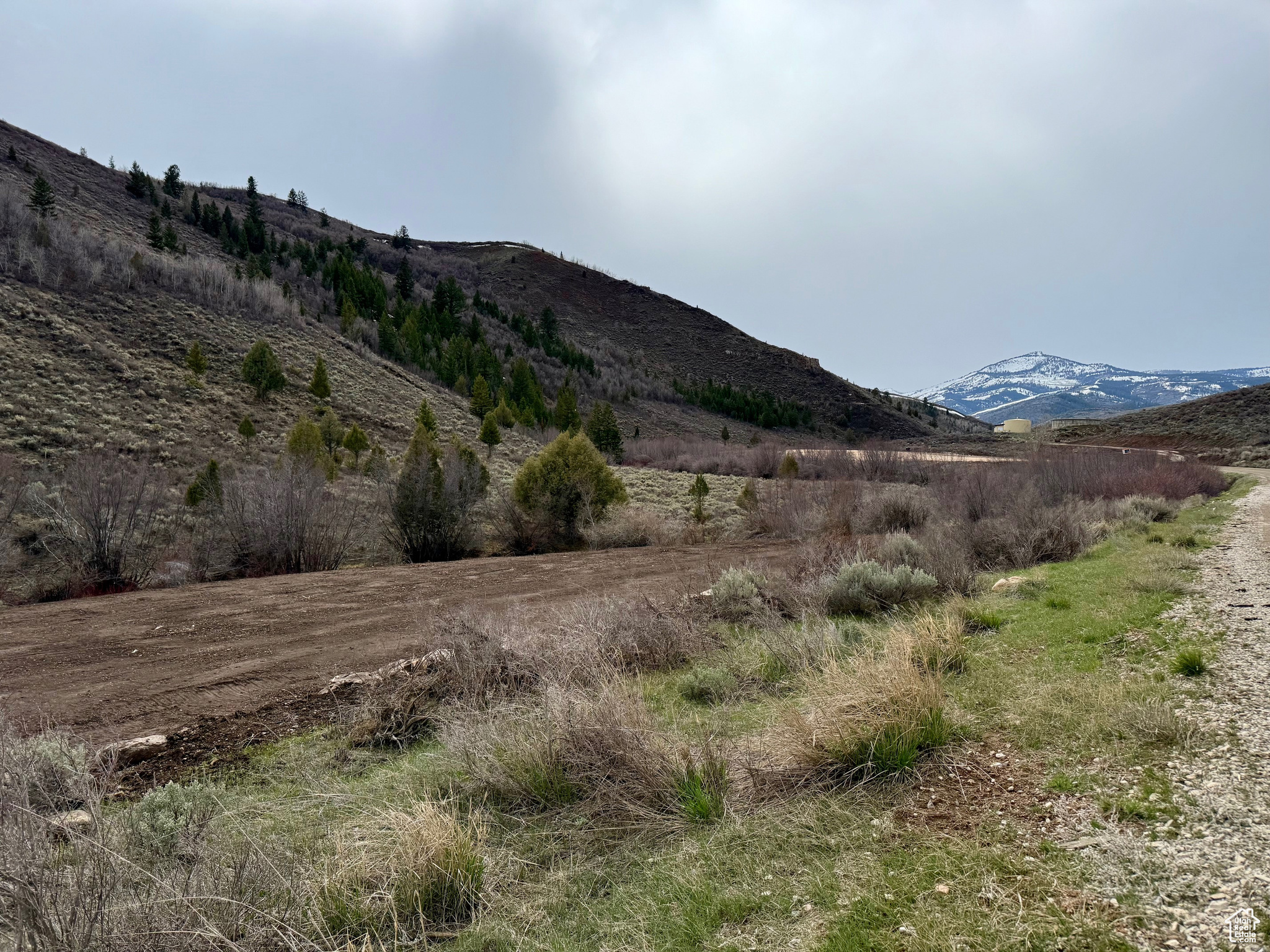 BLOOMINGTON HOLLOW RANCHS - Land