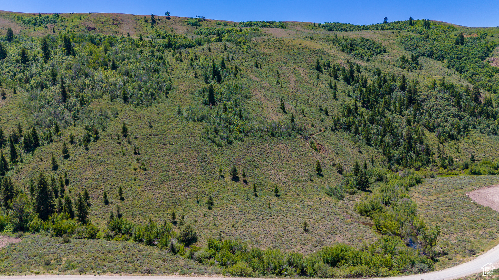 BLOOMINGTON HOLLOW RANCHS - Land