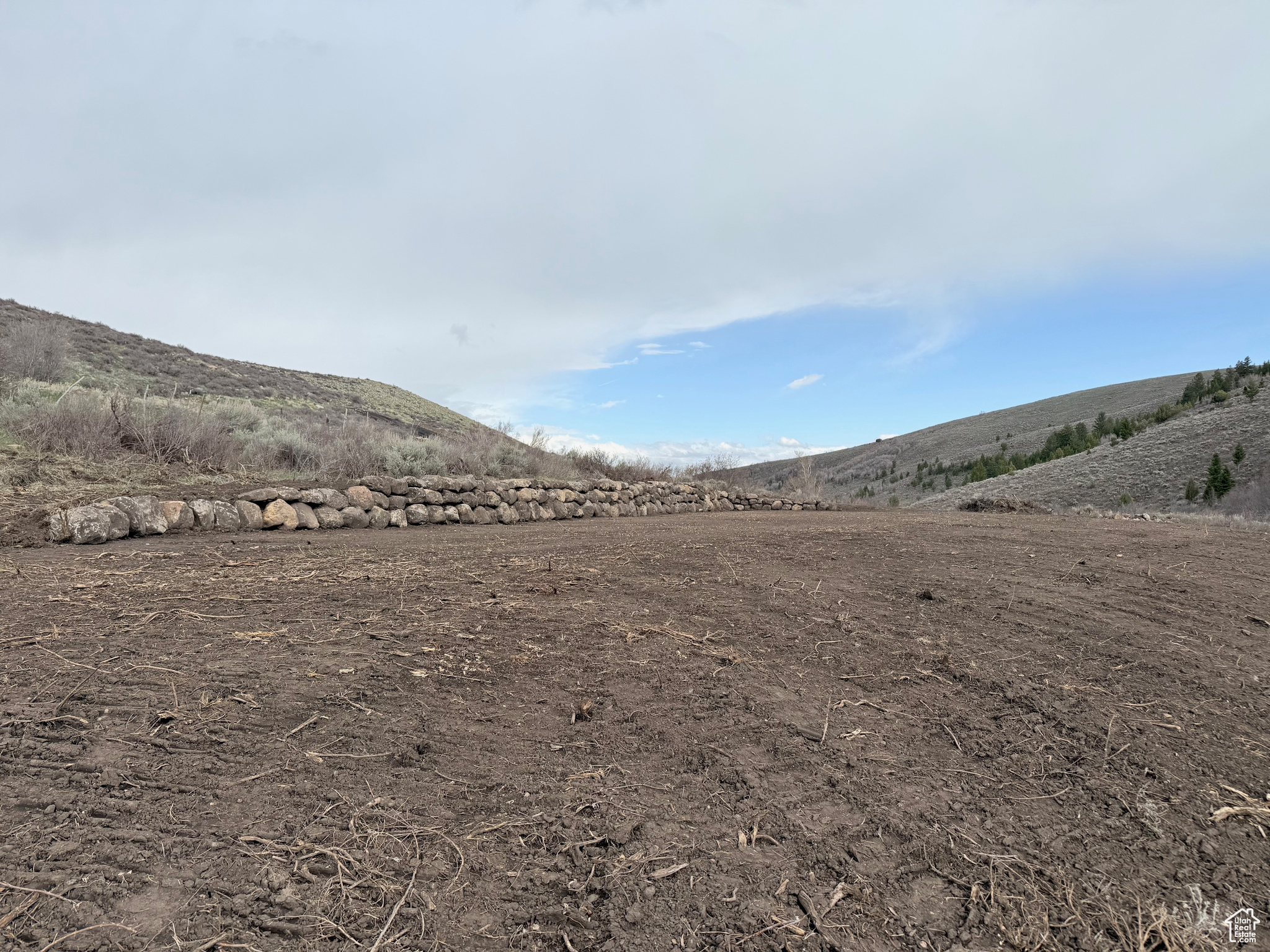 BLOOMINGTON HOLLOW RANCHS - Land