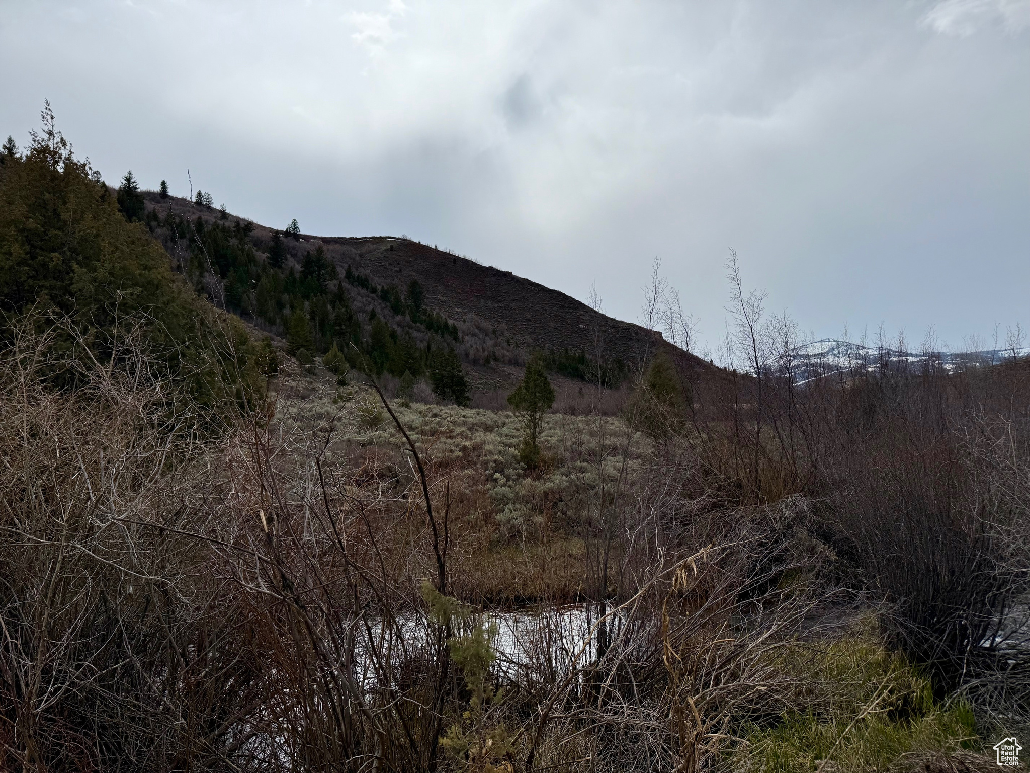 BLOOMINGTON HOLLOW RANCHS - Land