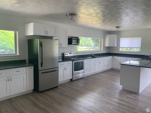 Tiny photo for 30 S MAIN ST, Alpine, UT 84004 (MLS # 2112984)