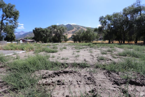 Vacant Land For Sale - 1314 E Victor Ln<br/> Draper, UT 84020