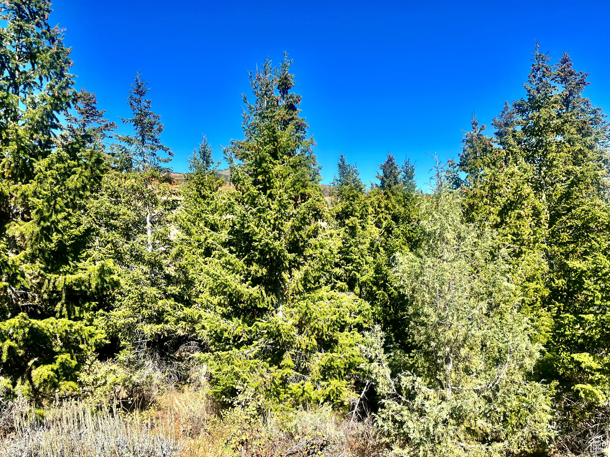 BRIDGERLAND VILLAGE - Land