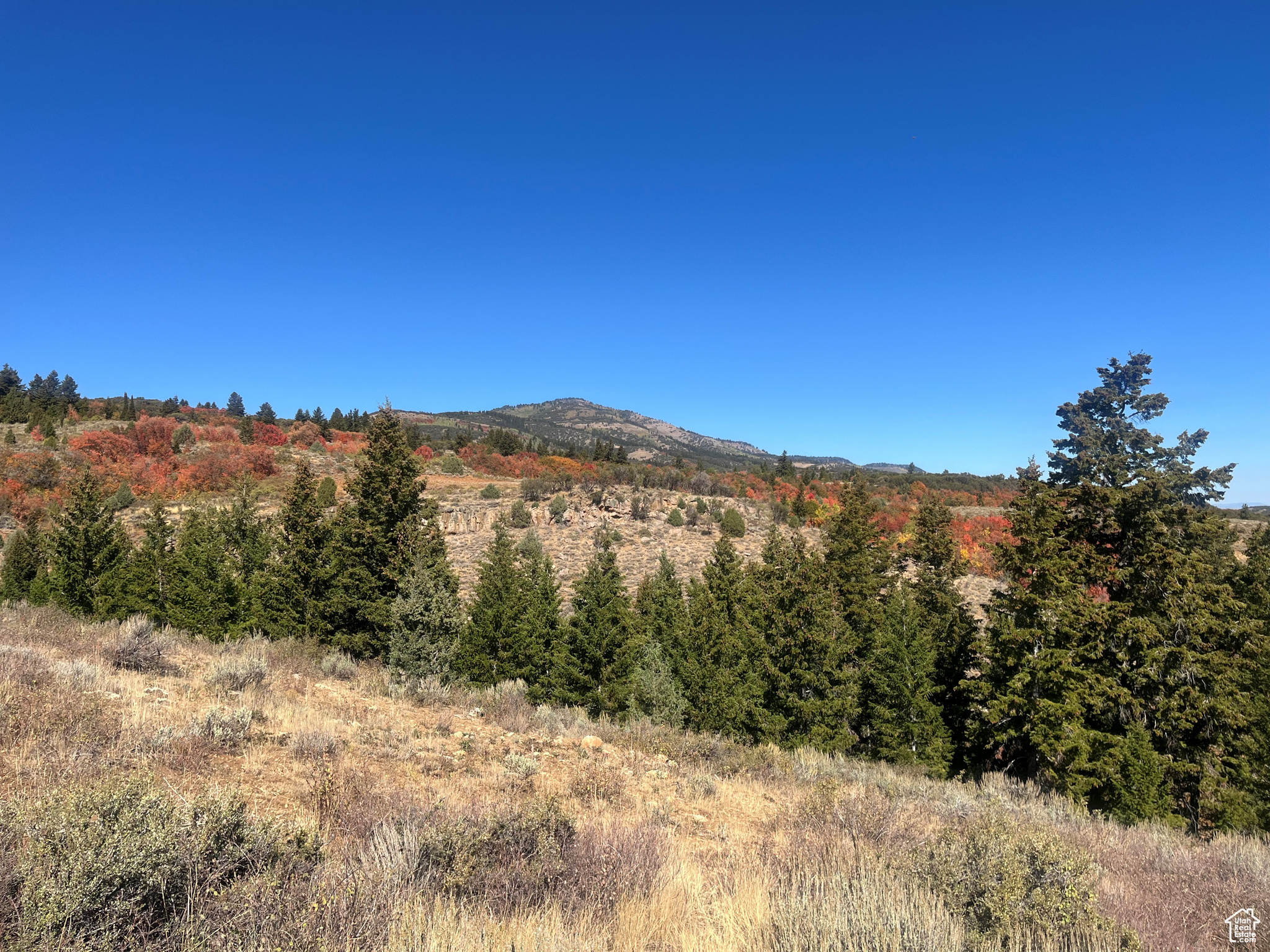 BRIDGERLAND VILLAGE - Land