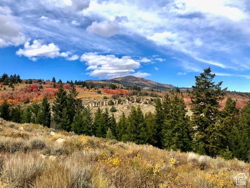 Don't miss out on this 1.69 Acre lot in Bridgerland.  Amazing views of Bear Lake, with a slight slope, perfect to build a cabin with a walk out basement.  No backyard neighbors, lot borders the Cache Valley National Forest.  Ride your snowmobile or four wheeler along the many miles of trails near this property.  Enjoy winter skiing only 10 minutes away.