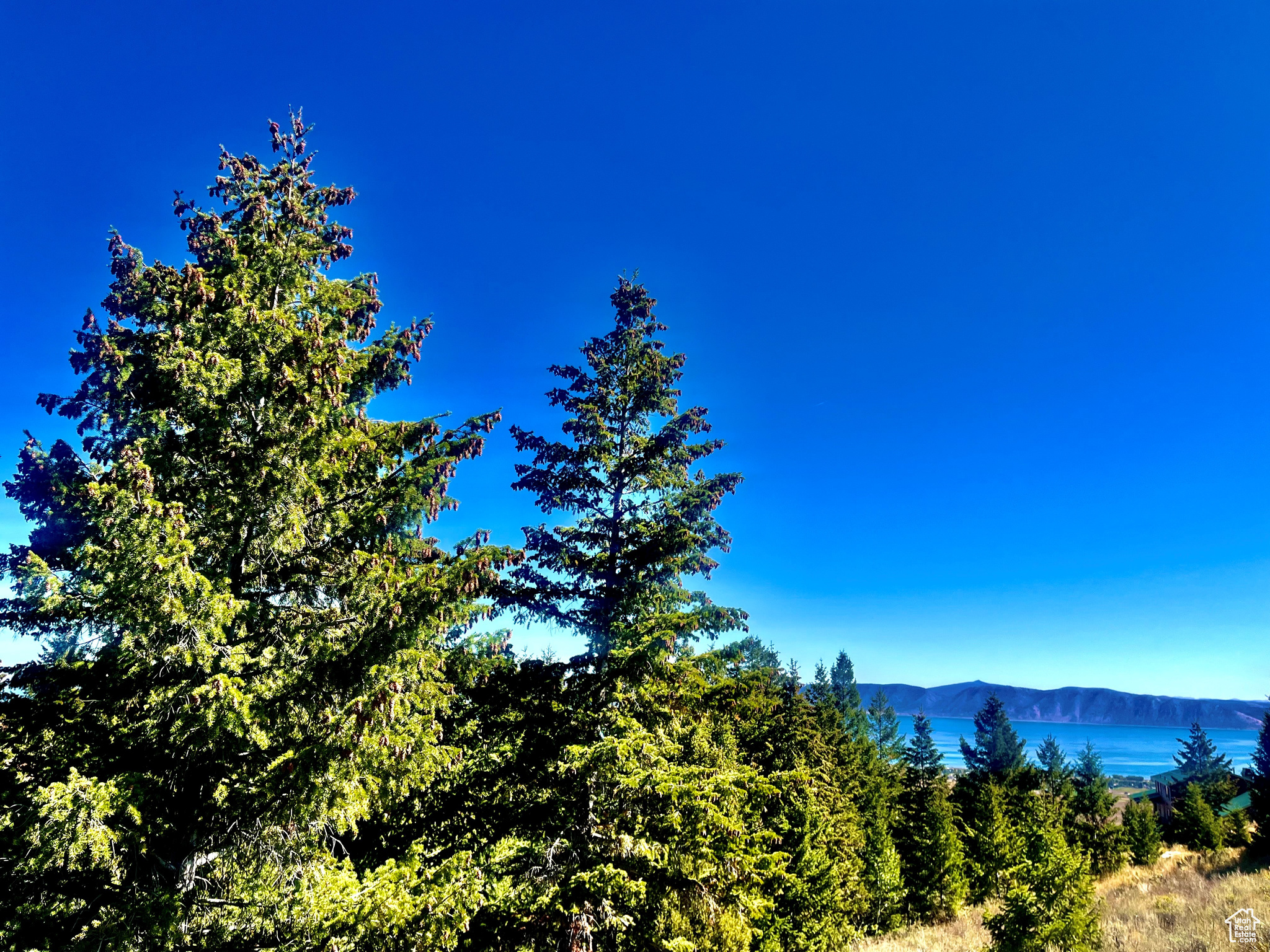 BRIDGERLAND VILLAGE - Land