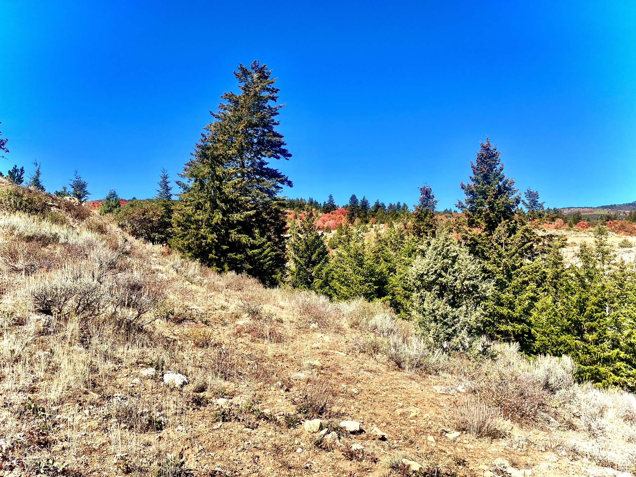 BRIDGERLAND VILLAGE - Land