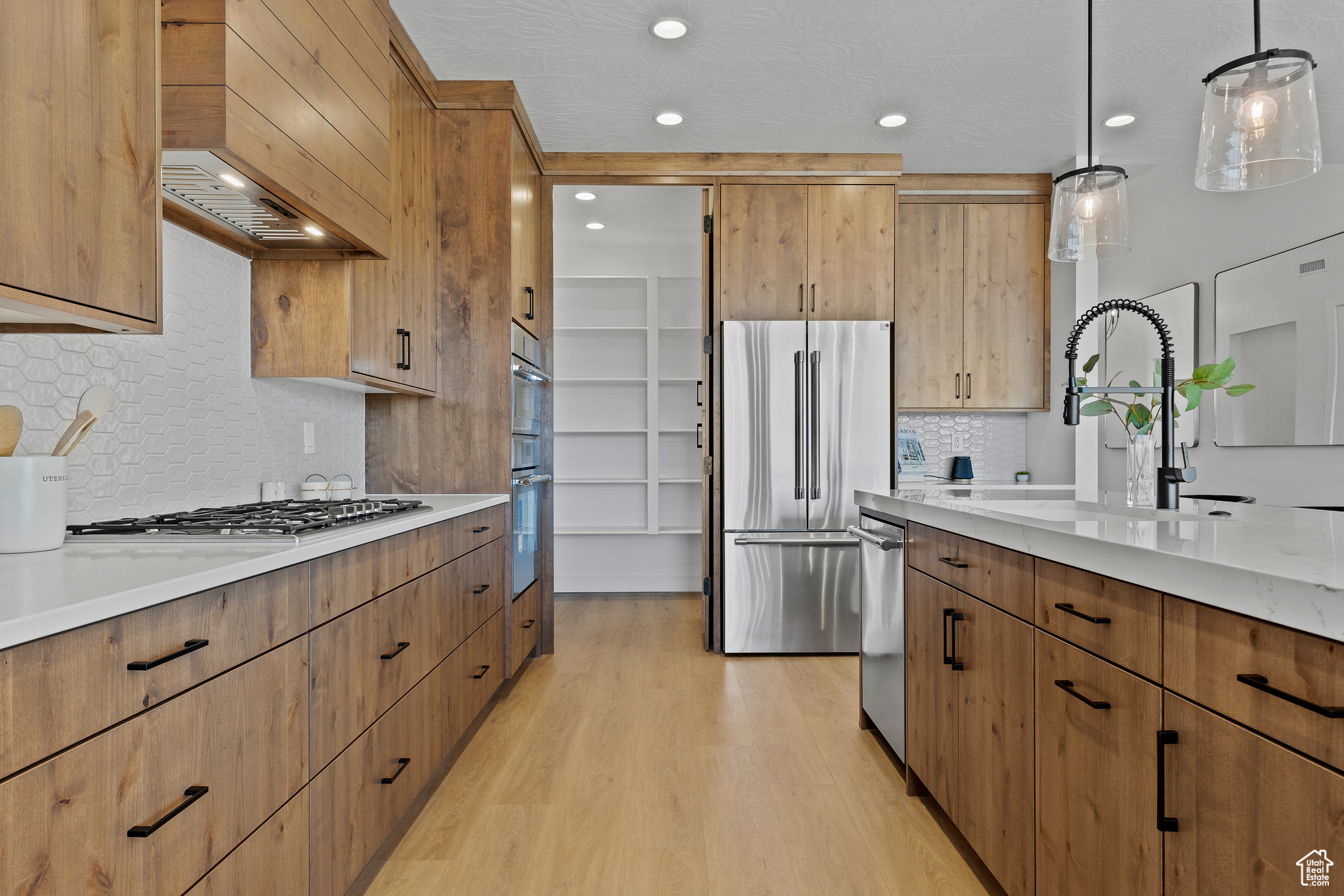 THE RIDGE AT ZION VISTA - Residential