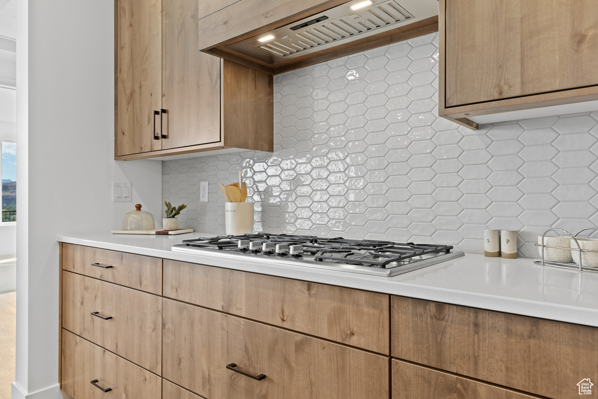 THE RIDGE AT ZION VISTA - Residential