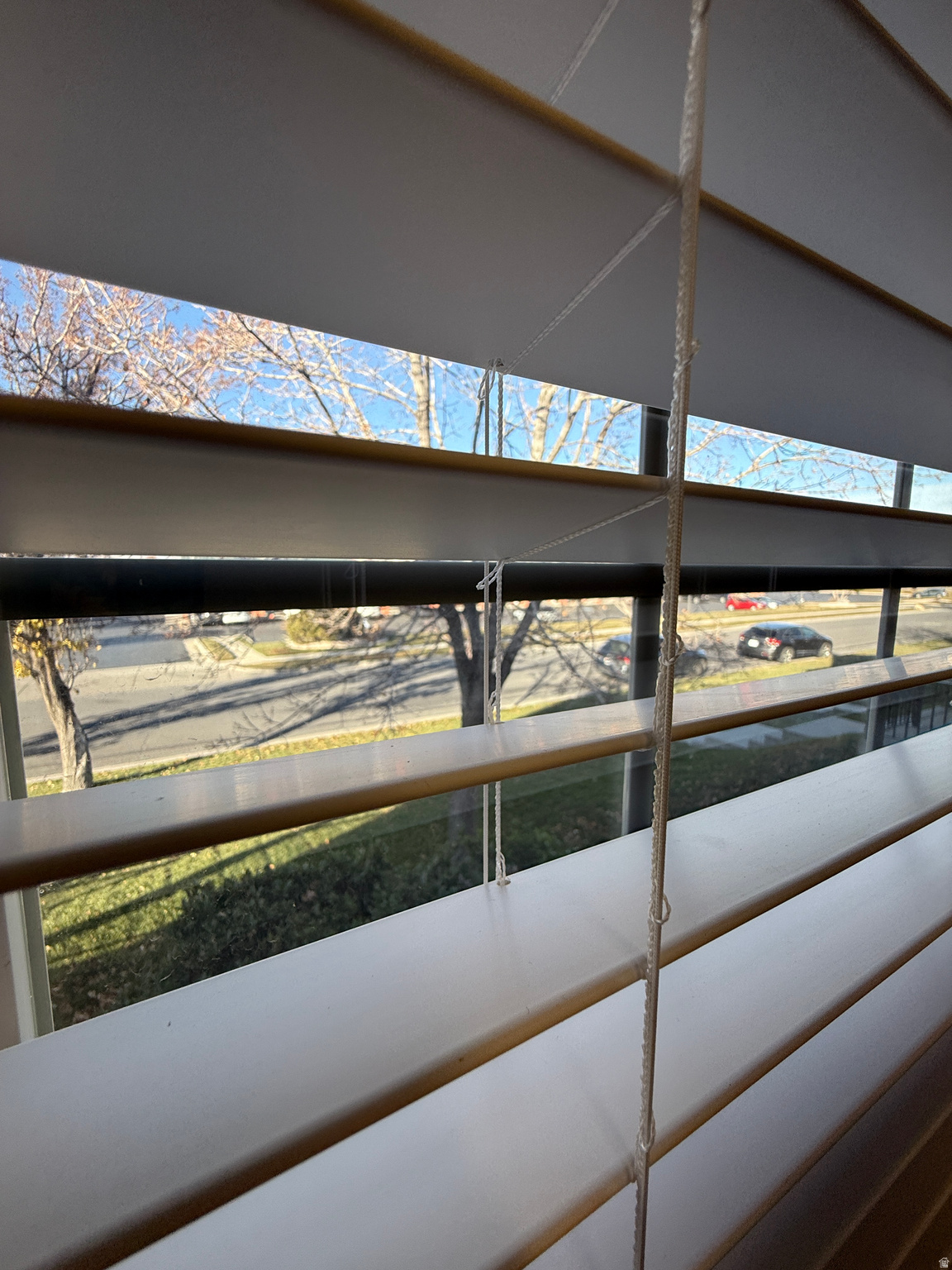 PARK - Commercial Lease