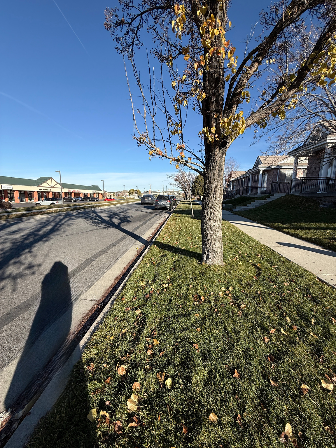 PARK - Commercial Lease