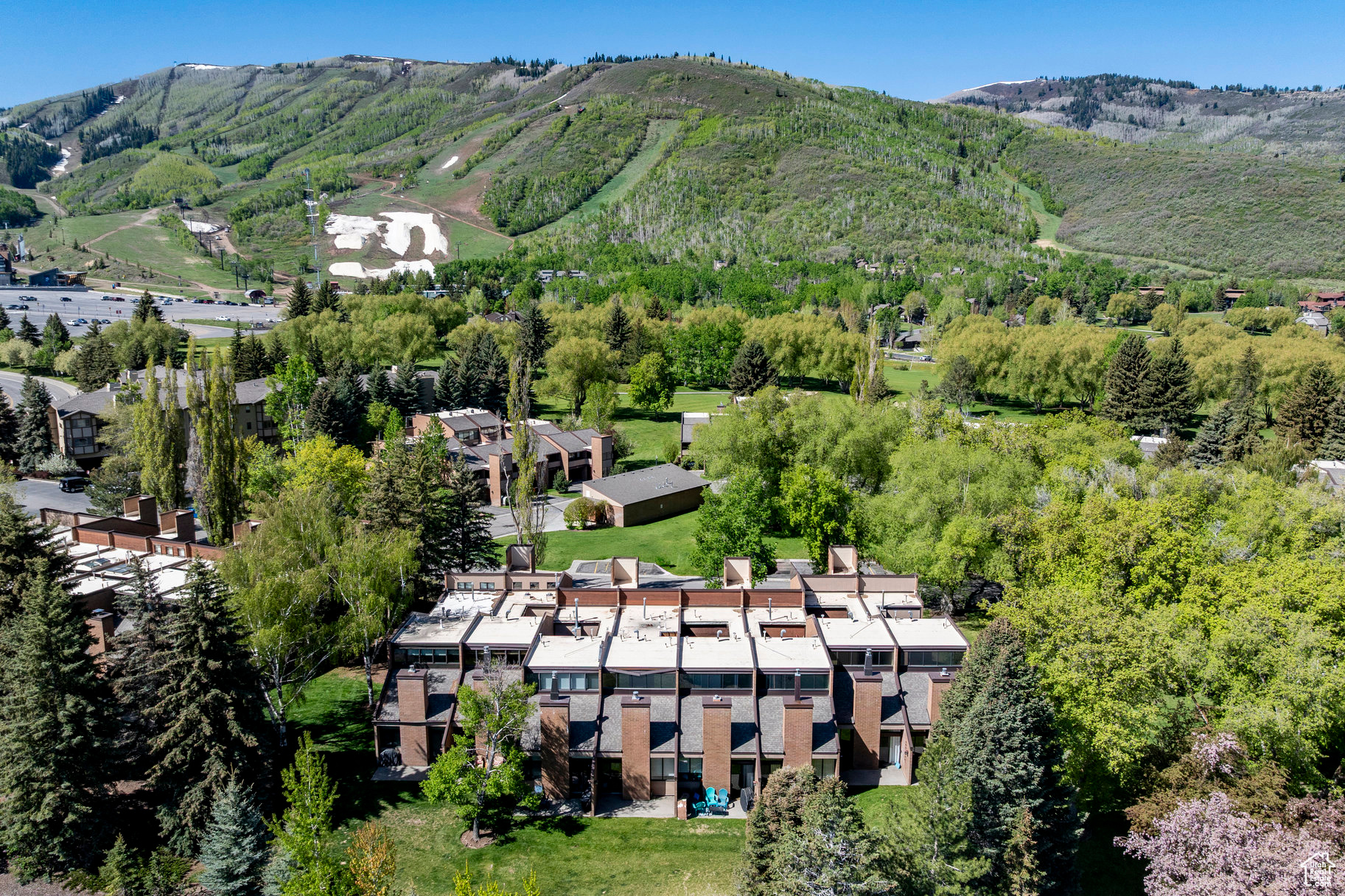 PARK AVENUE CONDOMIN - Residential