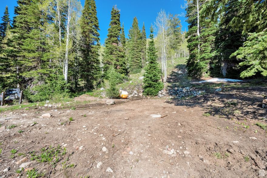 Escape the heat, the hustle, and the valley below with this rare opportunity to own a slice of alpine paradise in Big Cottonwood Canyon. Nestled just minutes from Brighton Ski Resort, this wooded lot offers privacy, serenity, and direct backcountry ski access from Hidden Canyon. While not not patrolled, experienced skiers can enjoy true ski-in access from the canyon side, making it a unique destination for winter adventure. Set above Old Prospect Avenue, the property enjoys a peaceful, secluded location with an easement recorded on title and survey for ingress, egress, and utilities-making your vision of a luxury mountain retreat or year-round home entirely possible. The lot appears to offer a few solid building sites, surrounded by towering trees and natural beauty, ideal for a luxury cabin, a custom home, or a private family destination for holidays and reunions. With one main building site, and a second beautiful flat spot midway up the lot, your dream of adding a second structure, a guest house, or a yurt tucked into the trees is entirely possible! Whether you're seeking cool summer nights or powder-filled winter mornings, this lot offers endless potential in one of Utah's most iconic and scenic canyons. Opportunities like this-so close to world-class skiing yet so private-are increasingly rare. Buyer to verify all information.