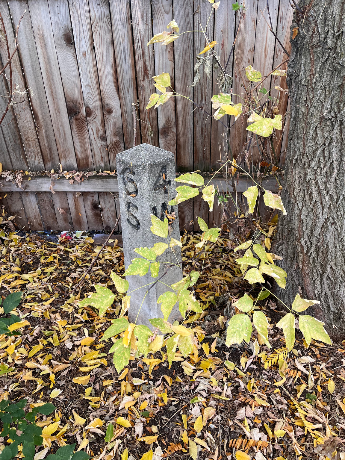 SOUTHSIDE ADDITION PROVOAREA 15 AC - Residential