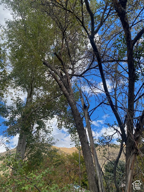 NELSON - Residential