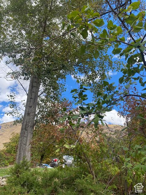 NELSON - Residential