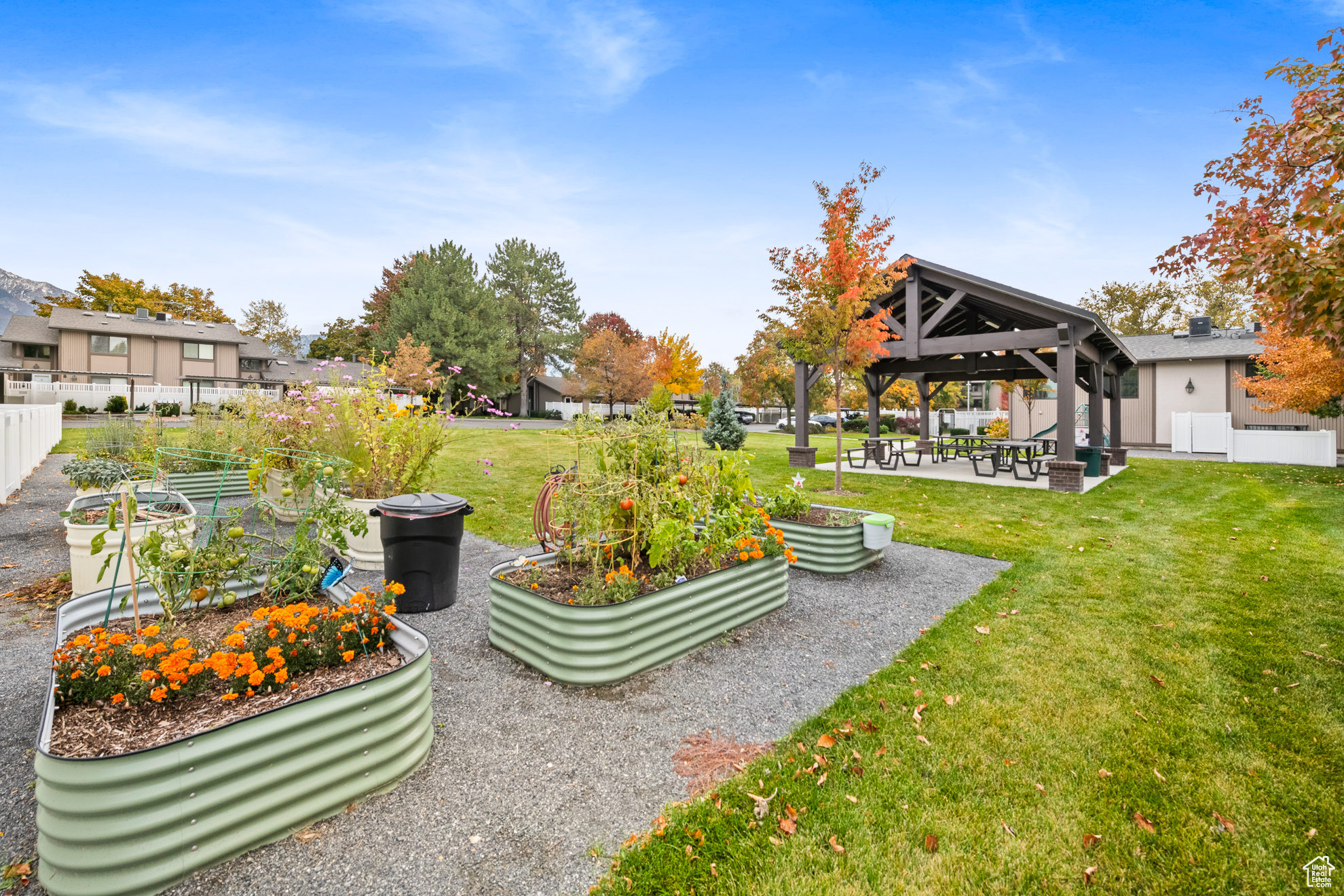 MEADOWS - Residential