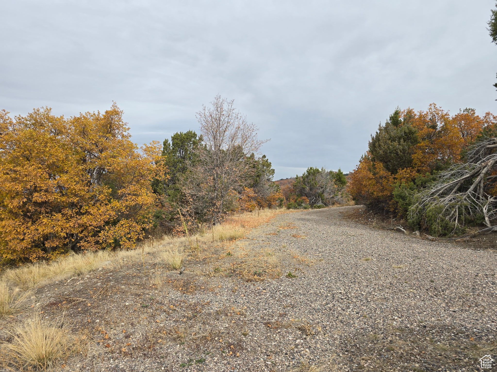 442 Park Dr #442, Mt Pleasant, Utah image 11