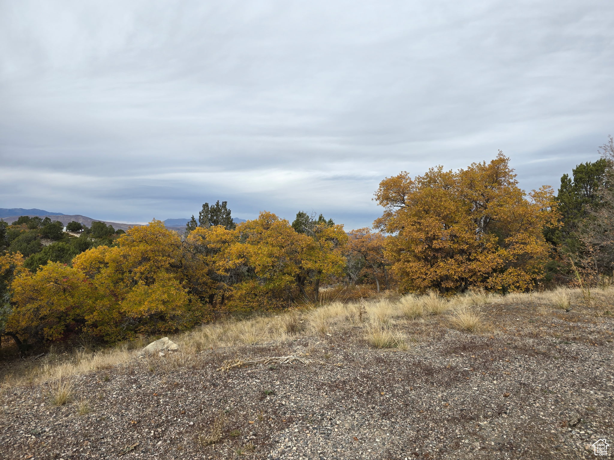 442 Park Dr #442, Mt Pleasant, Utah image 12