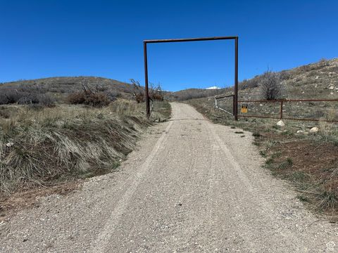Vacant Land For Sale - 5565 E Big Hollow Rd<br/> Fairview, UT 84629