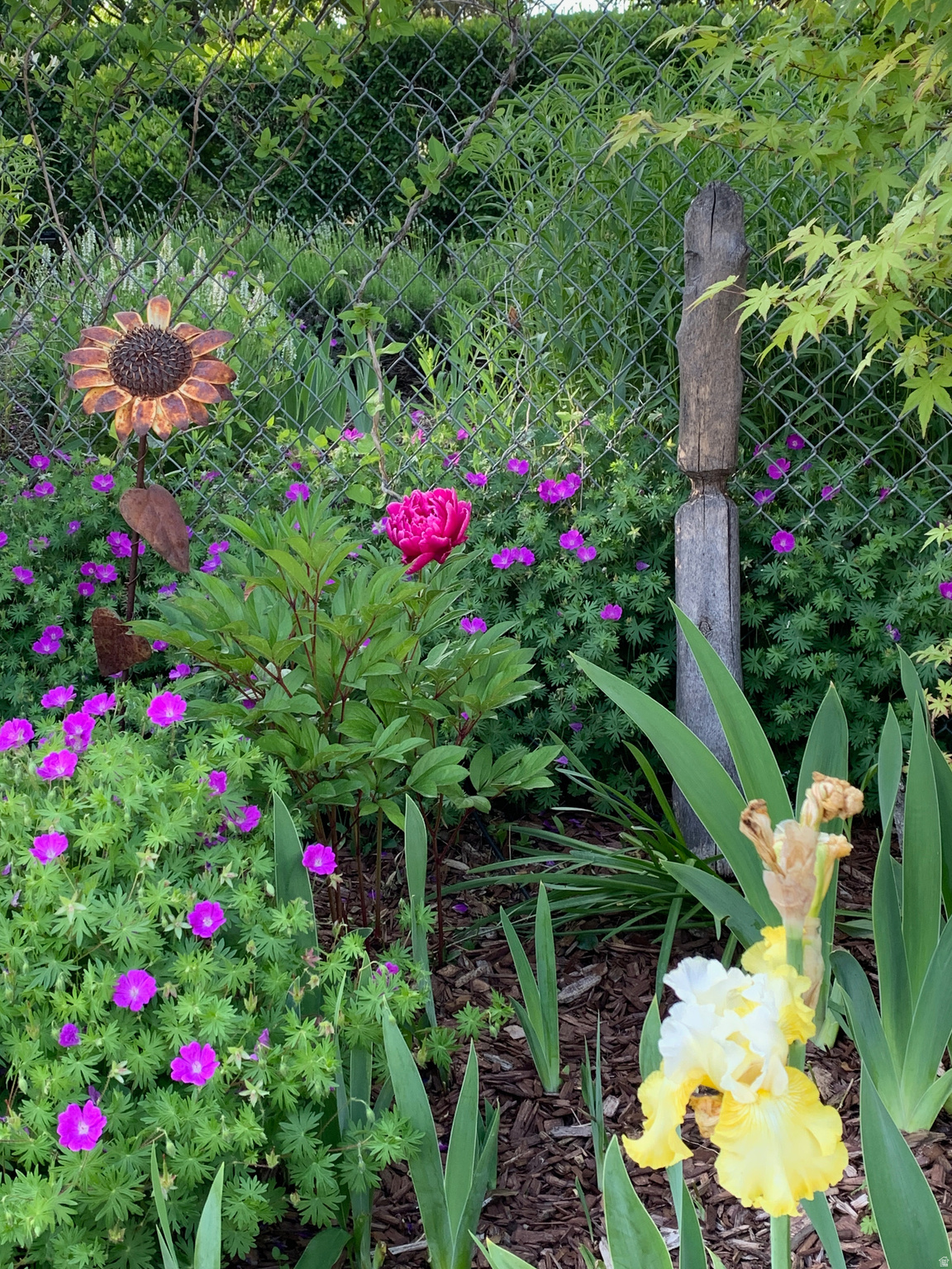 WHITE CITY - Residential