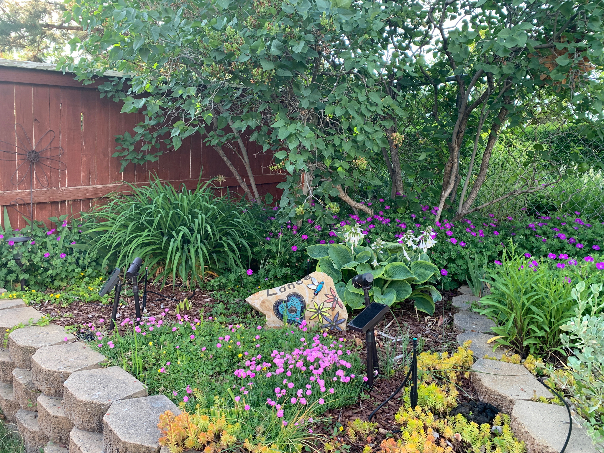 WHITE CITY - Residential