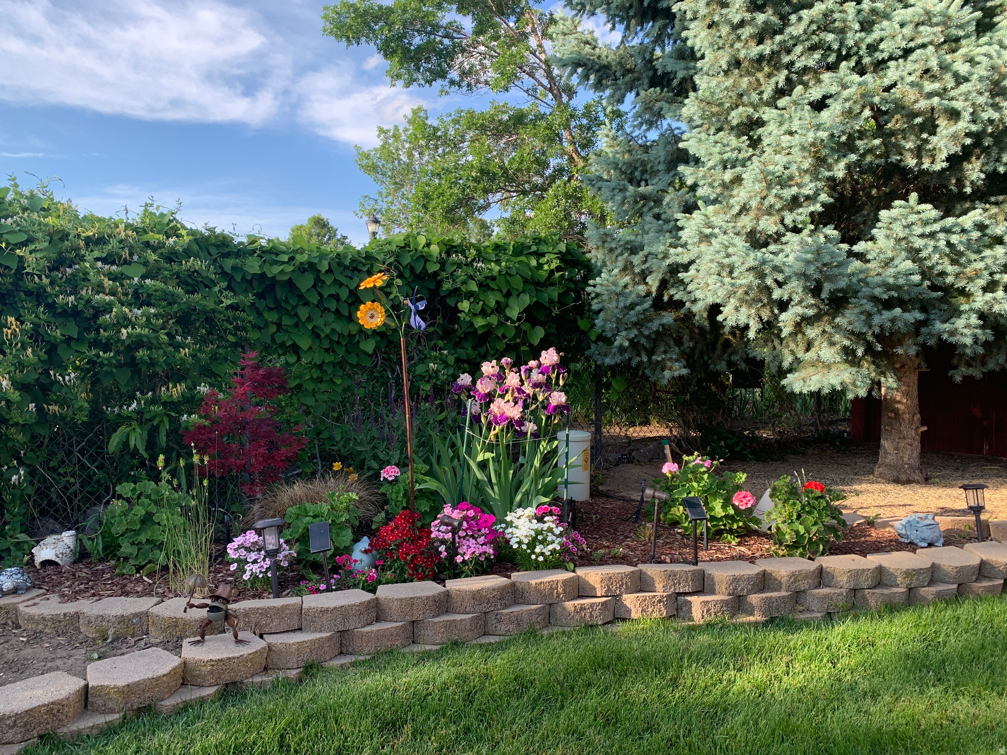 WHITE CITY - Residential