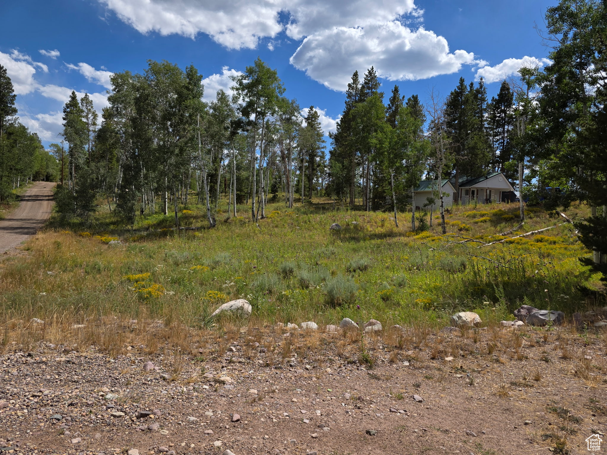 WILDERNESS ACRES - Residential