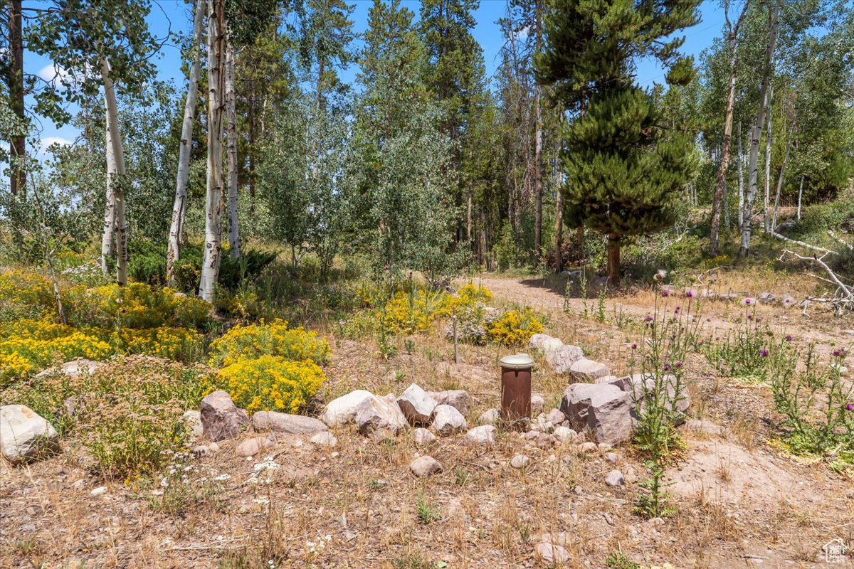 WILDERNESS ACRES - Residential