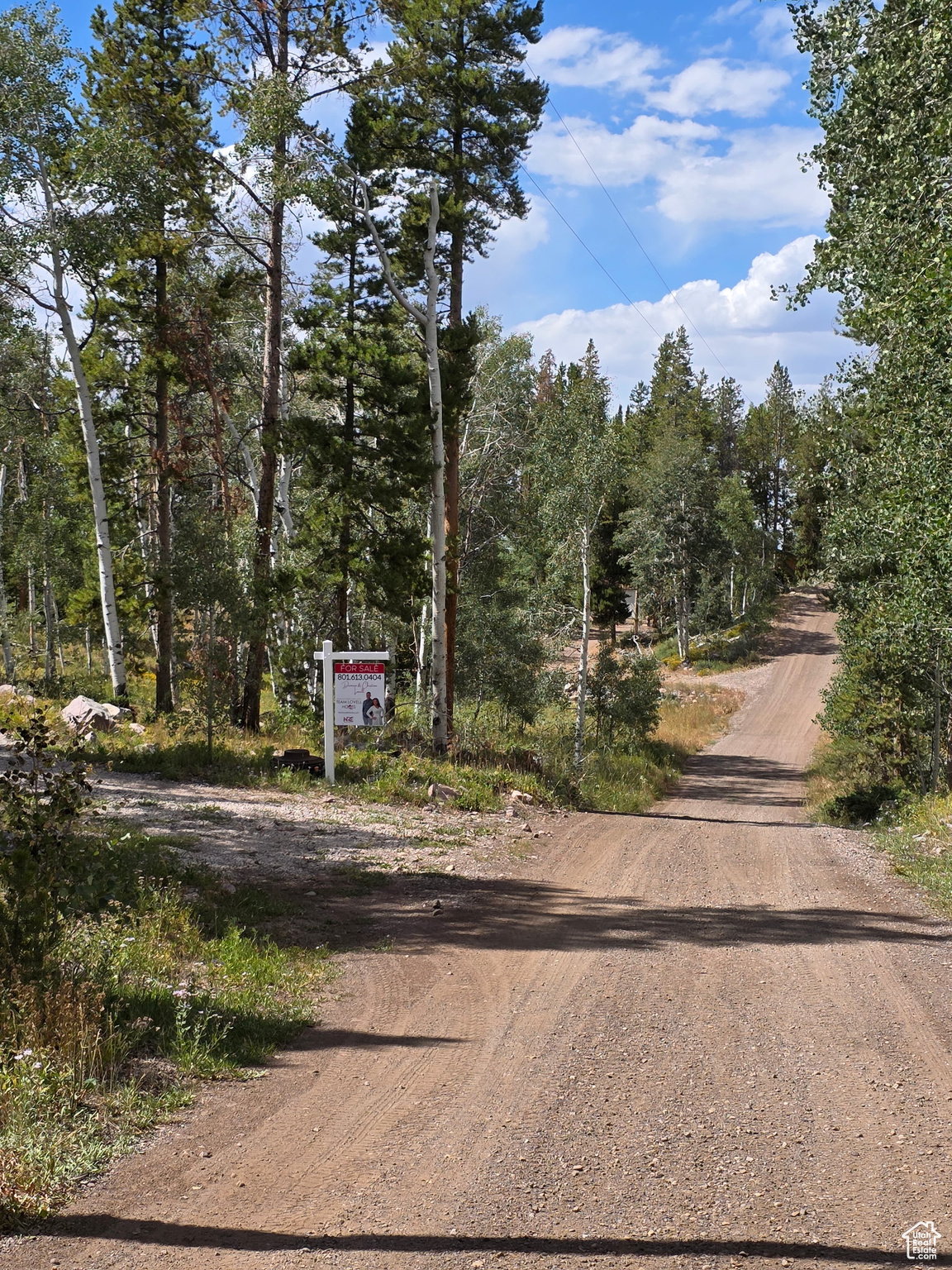 WILDERNESS ACRES - Residential