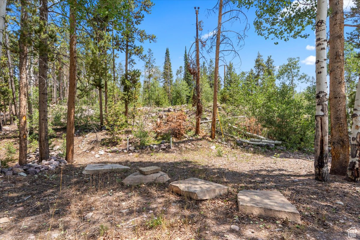 WILDERNESS ACRES - Residential