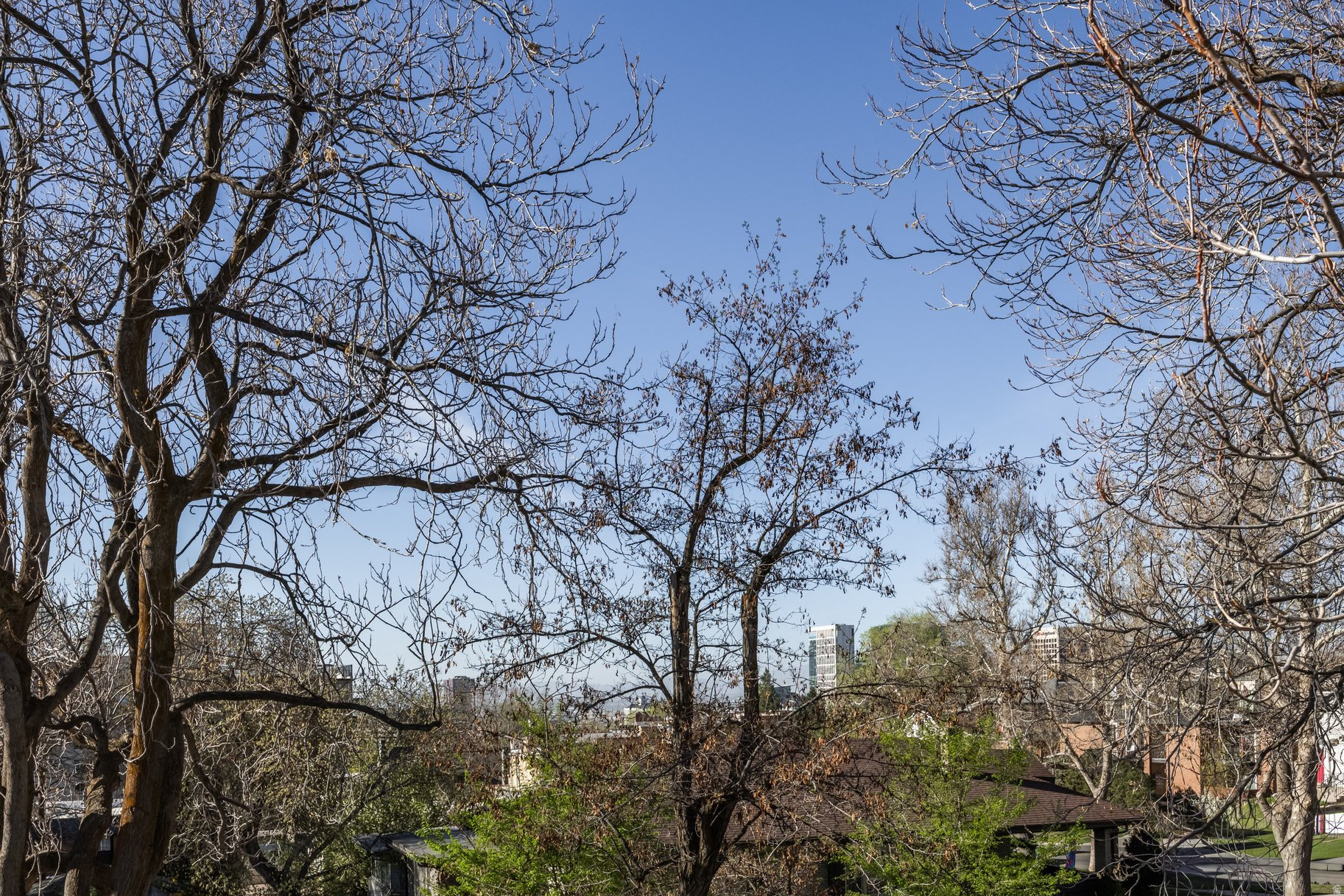 AVENUES - Residential