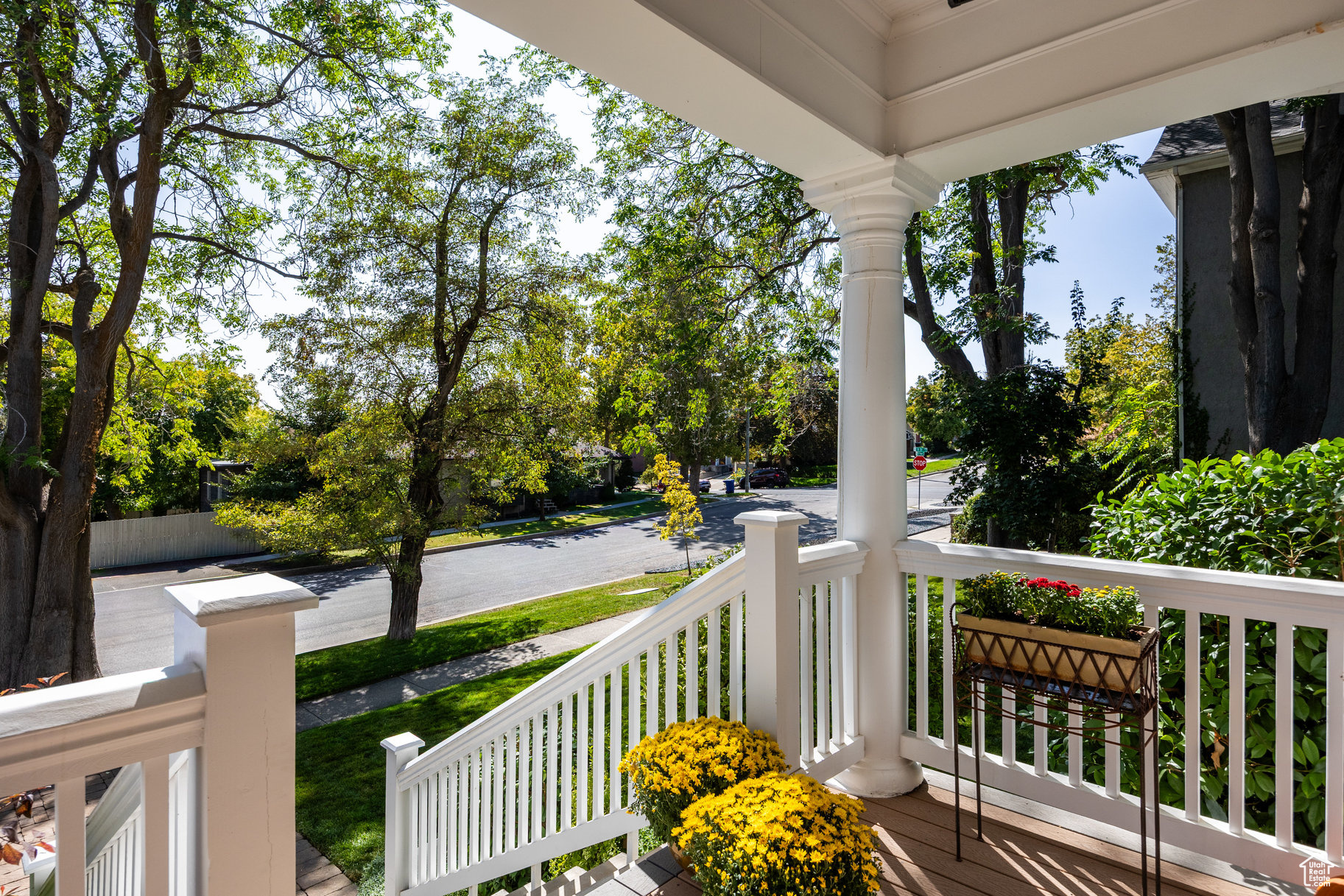 AVENUES - Residential