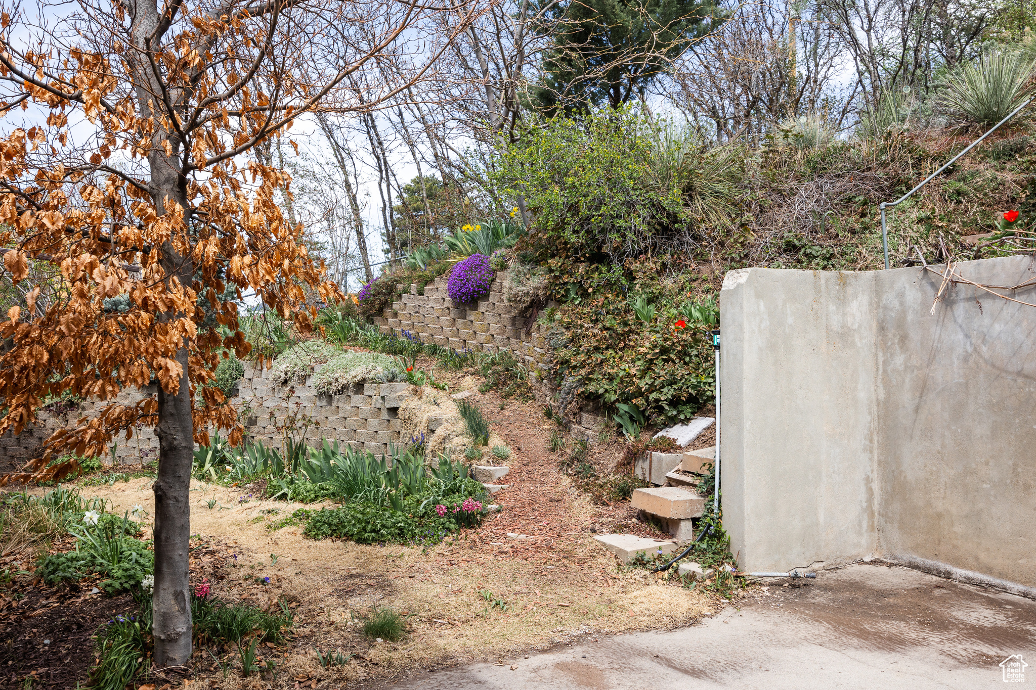 3665 S Eastwood Dr, Salt Lake City, Utah image 42