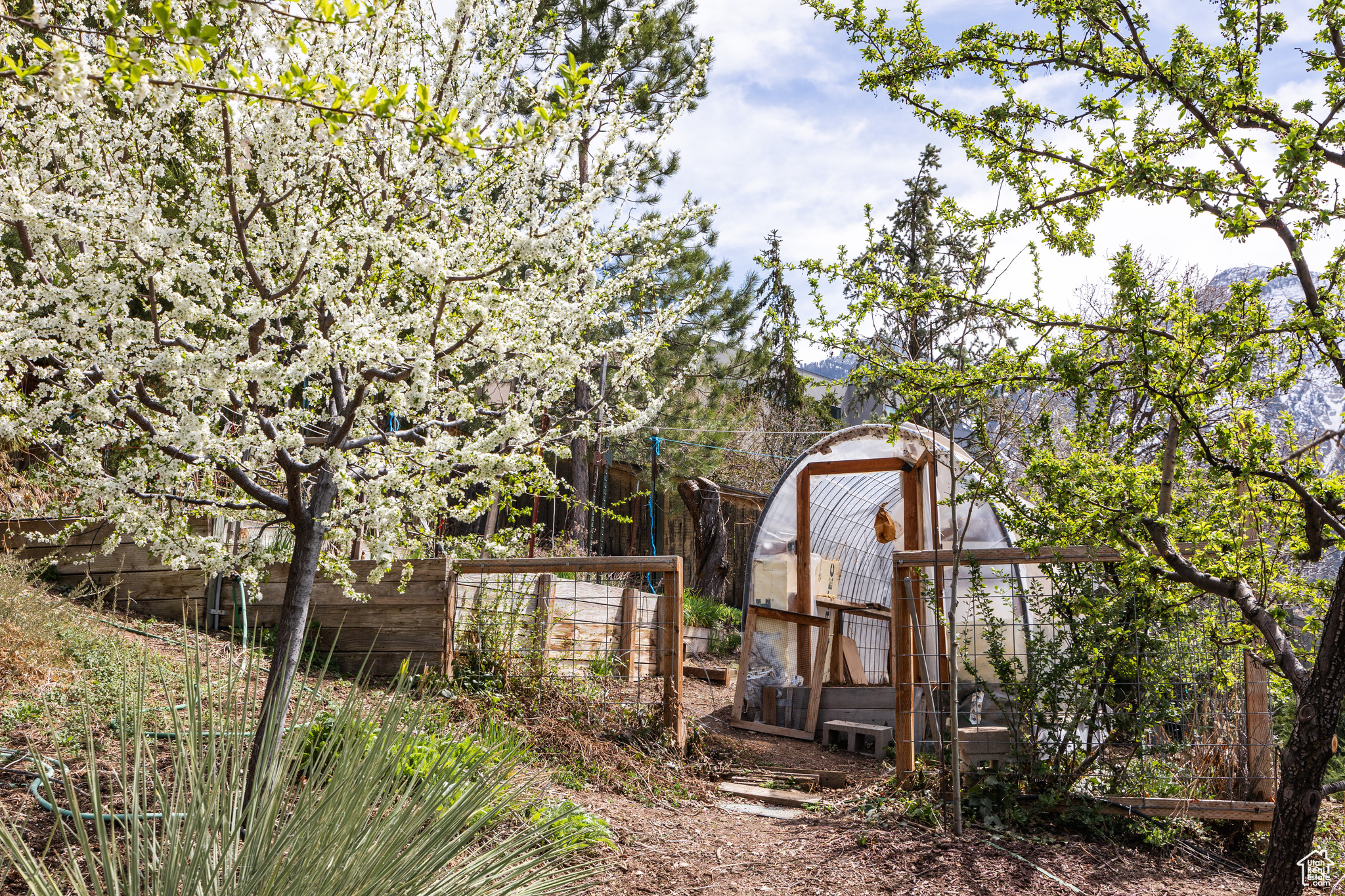 3665 S Eastwood Dr, Salt Lake City, Utah image 46