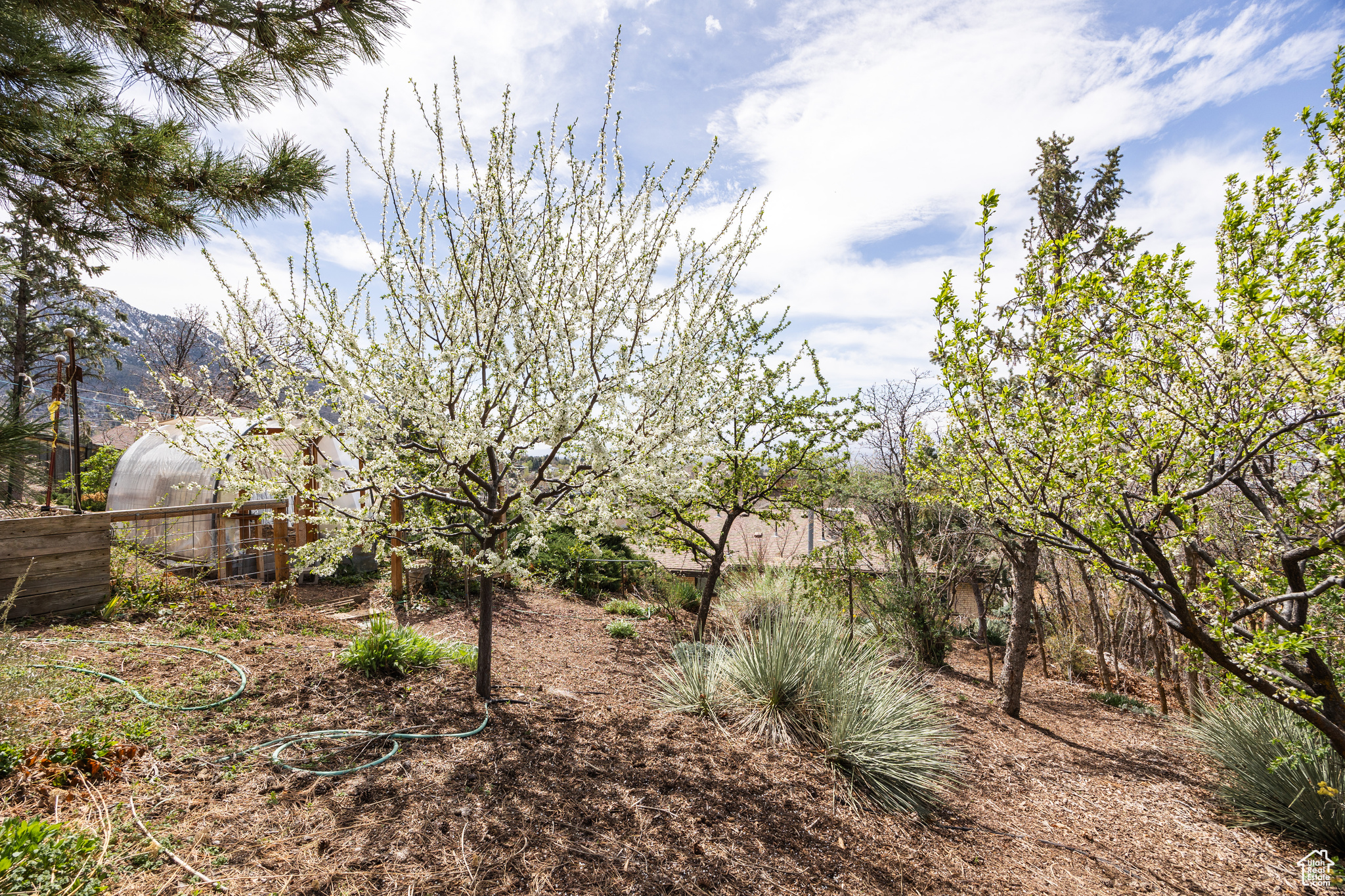 3665 S Eastwood Dr, Salt Lake City, Utah image 47