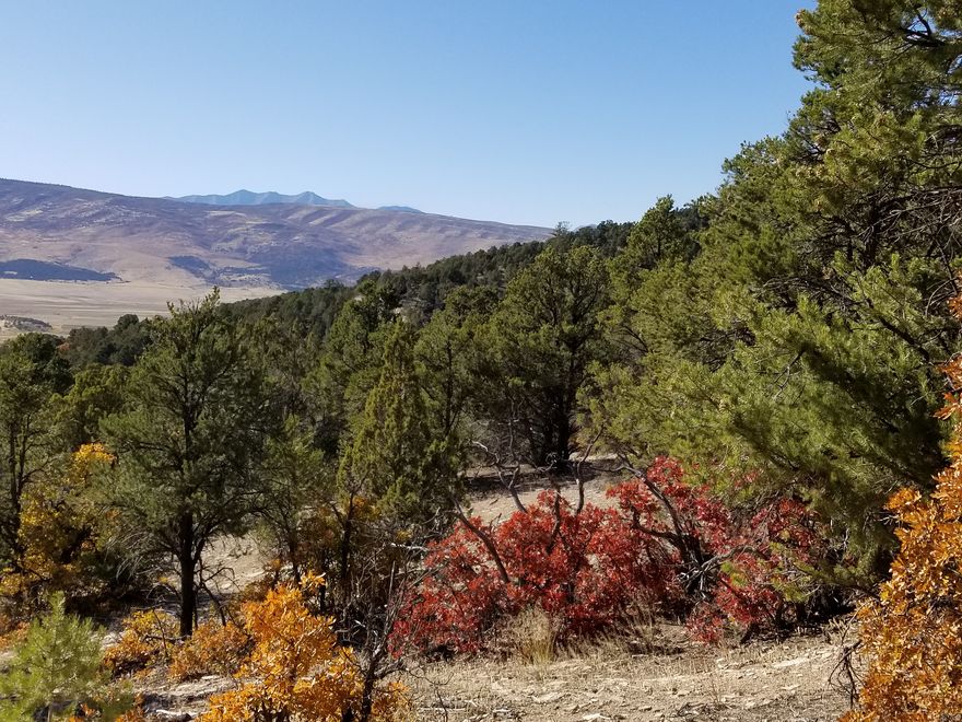 Your chance to own 25 lots located in Plat C of Blackhawk Mountain Estates. Take advantage of early release pricing! Perfect for a new development: clients can build dream homes, cabins, or short-term rentals in the beautiful, forested Blackhawk Mountain Estates. Access to 1.2M acres of forest land. Swimming lake under construction. Community trails. New and upscale mountain community with quick highway access. Road paving under construction from Highway in. Live. Play. Escape. Information provided is deemed reliable, but should be independently verified by any interested party.