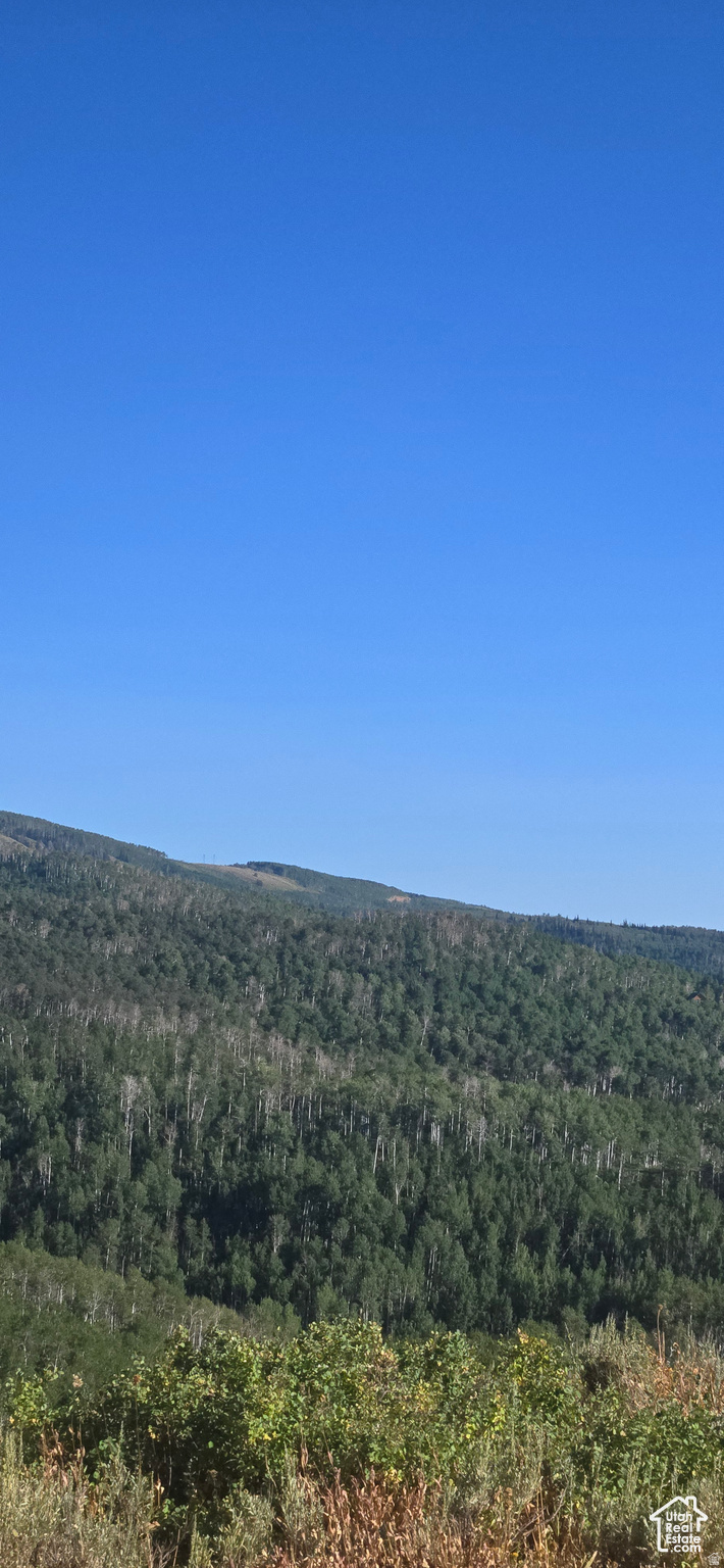 LEGACY RANCHES MONTY - Land