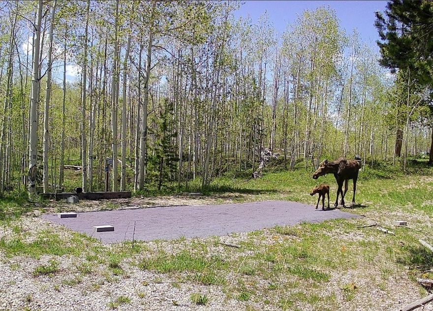 Perfectly peppered with Aspen and Pine trees, this lot is a gem and won't last long. Located in the Uintalands gated community and tucked near the back of a quiet dead-end road, this property offers serenity, privacy and views of Deadman Mountain. Improvements are already in place, for an RV or Tiny Home retreat, including: a large gravel pad, 1,000-gallon septic system, two electrical hookups-each equipped with standard 120V outlets and 30-amp RV service, and a frost-free faucet connected to the Uintalands Association water system. A sturdy shed and decorative metal fire ring put the icing on the cake for your ready-to-enjoy-now mountain retreat.