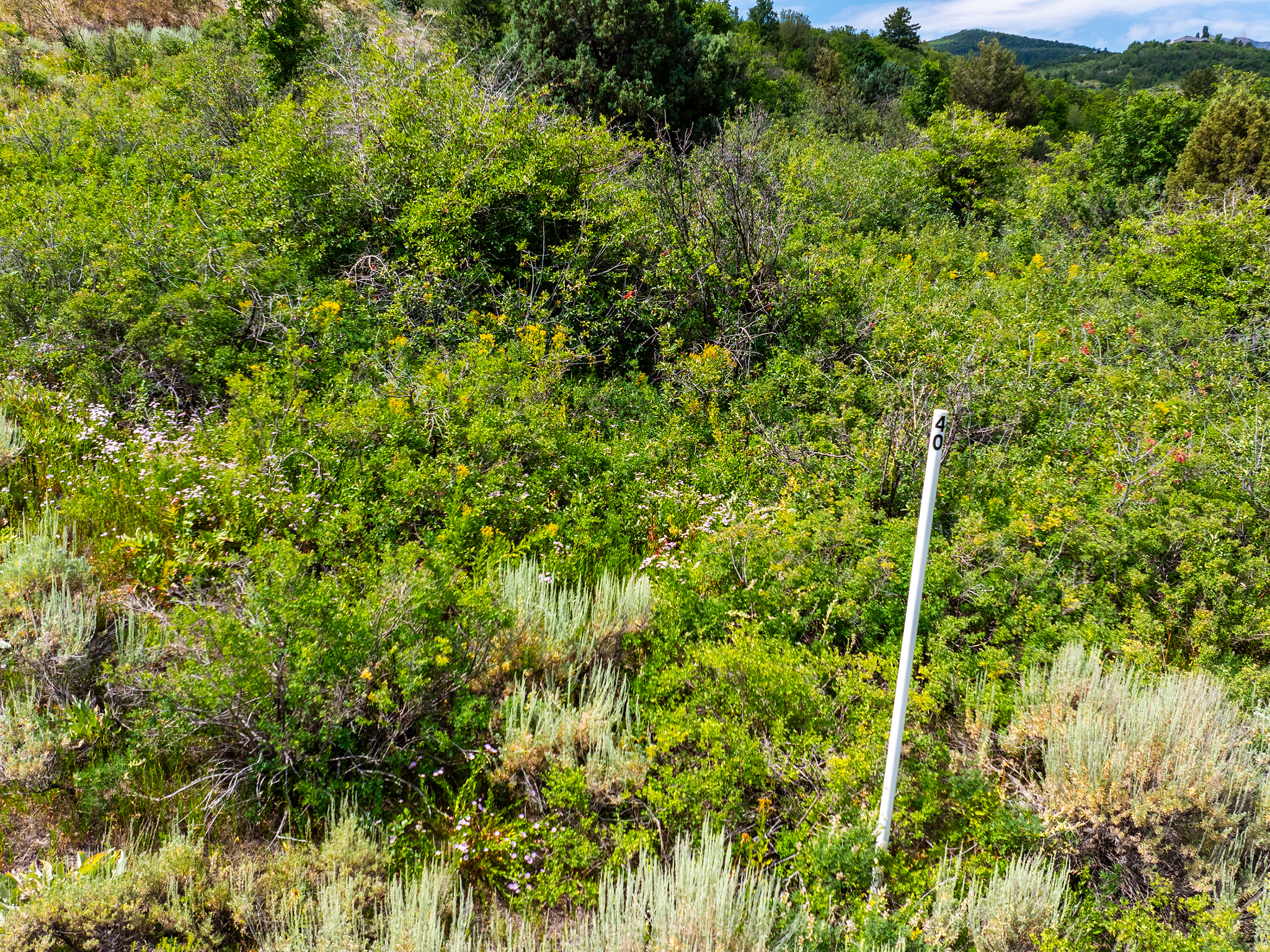 LEGACY MOUNTAIN - Land